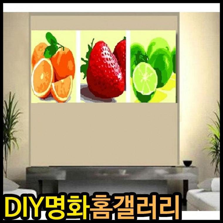 아이윙스 피포페인팅 S3003 과일나라 40x50 3단 대형 DIY명화그리기 그림그리기