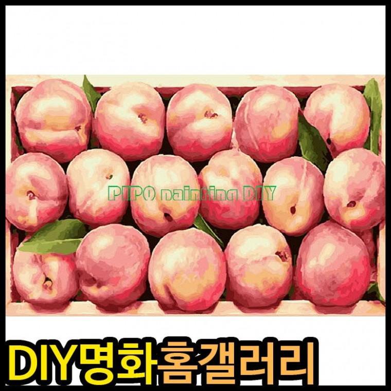 피포페인팅 P3004 행복 돈 복을 부르는 사과 65x40 대형 DIY명화그리기 그림그리기