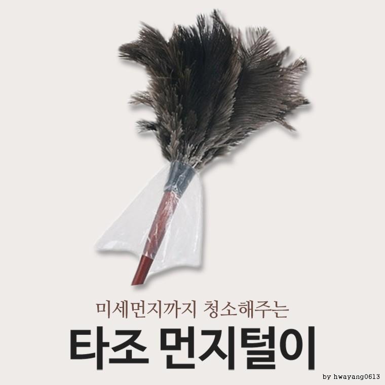 타조 먼지털이개/극세사 걸레/신발 털이/먼지 떨이