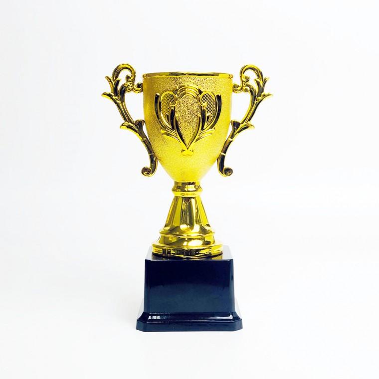 미니트로피 우승컵 축구 태권도 체육대회 상장 (대형)