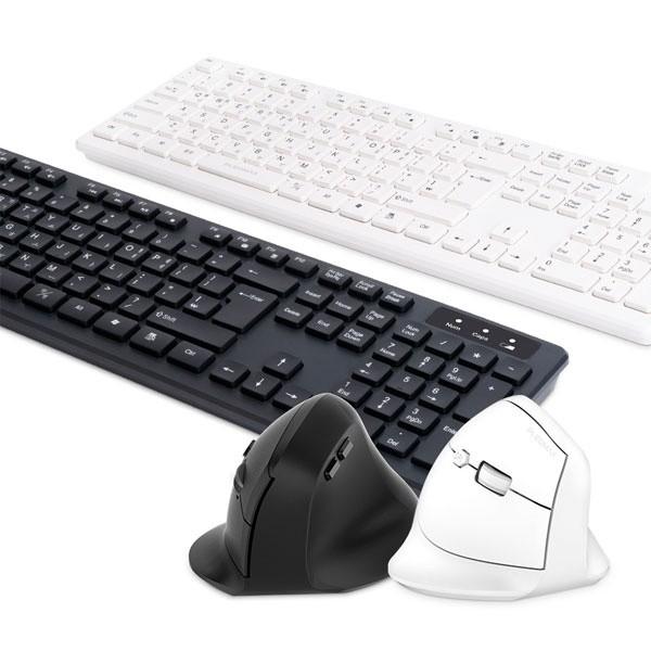 PLEOMAX PBC 300 무선 키보드 마우스 세트 (블랙 화이트)