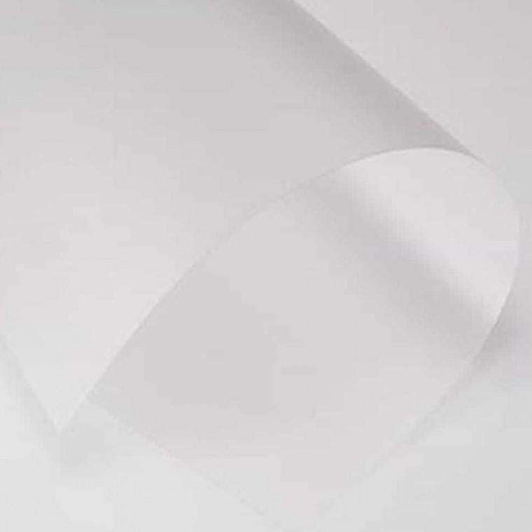 A4 제본용 비닐표지 데일리 0.2mm 100매 a4서류비닐케이스 a4용지비닐커버