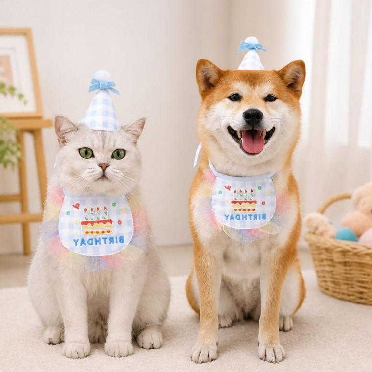 강아지 고양이 생일파티 데일리 용품 애완동물 기념일 파티소품 KK0095